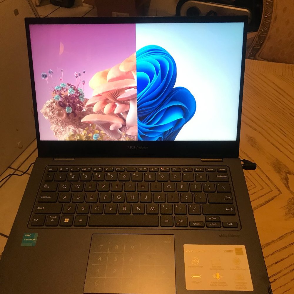 Asus Vivobook Go 14'  Flip Intel Celeron 64GB SSD eMMC Touchscreen